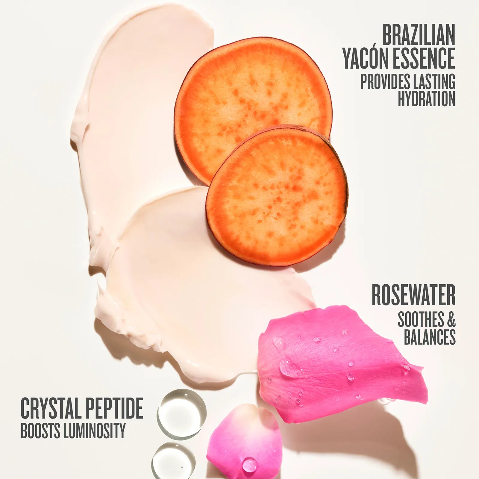 Rosa Charmosa™ Dewy Cream - Image 3