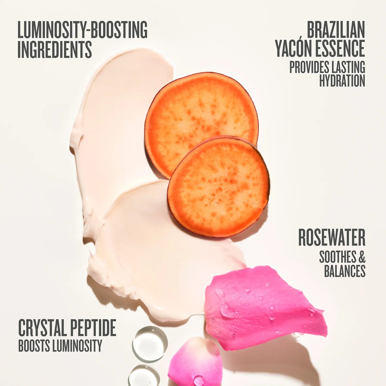 Rosa Charmosa™ Duo | Online Exclusive - Image 4