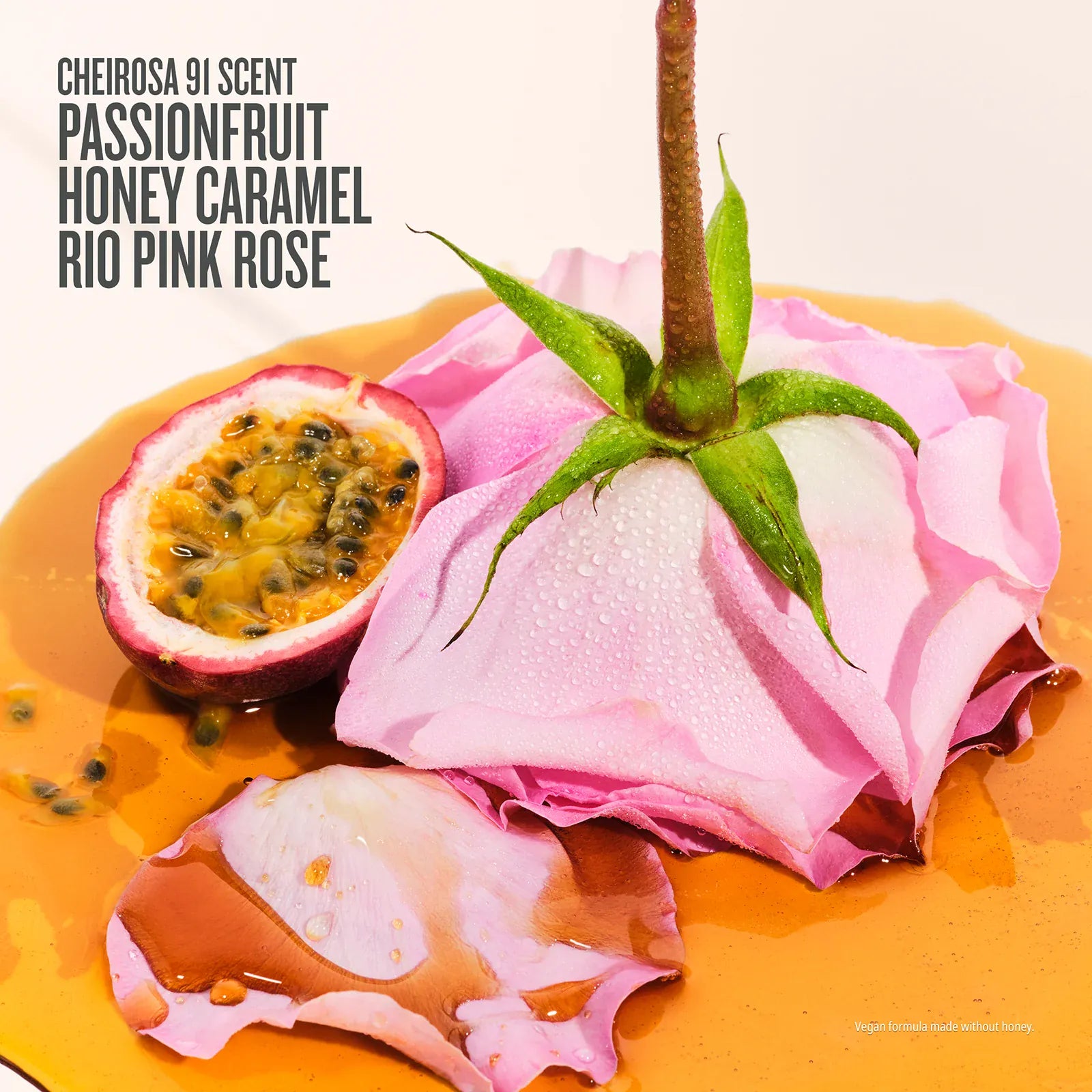 Rosa Charmosa™ Duo | Online Exclusive - Image 6