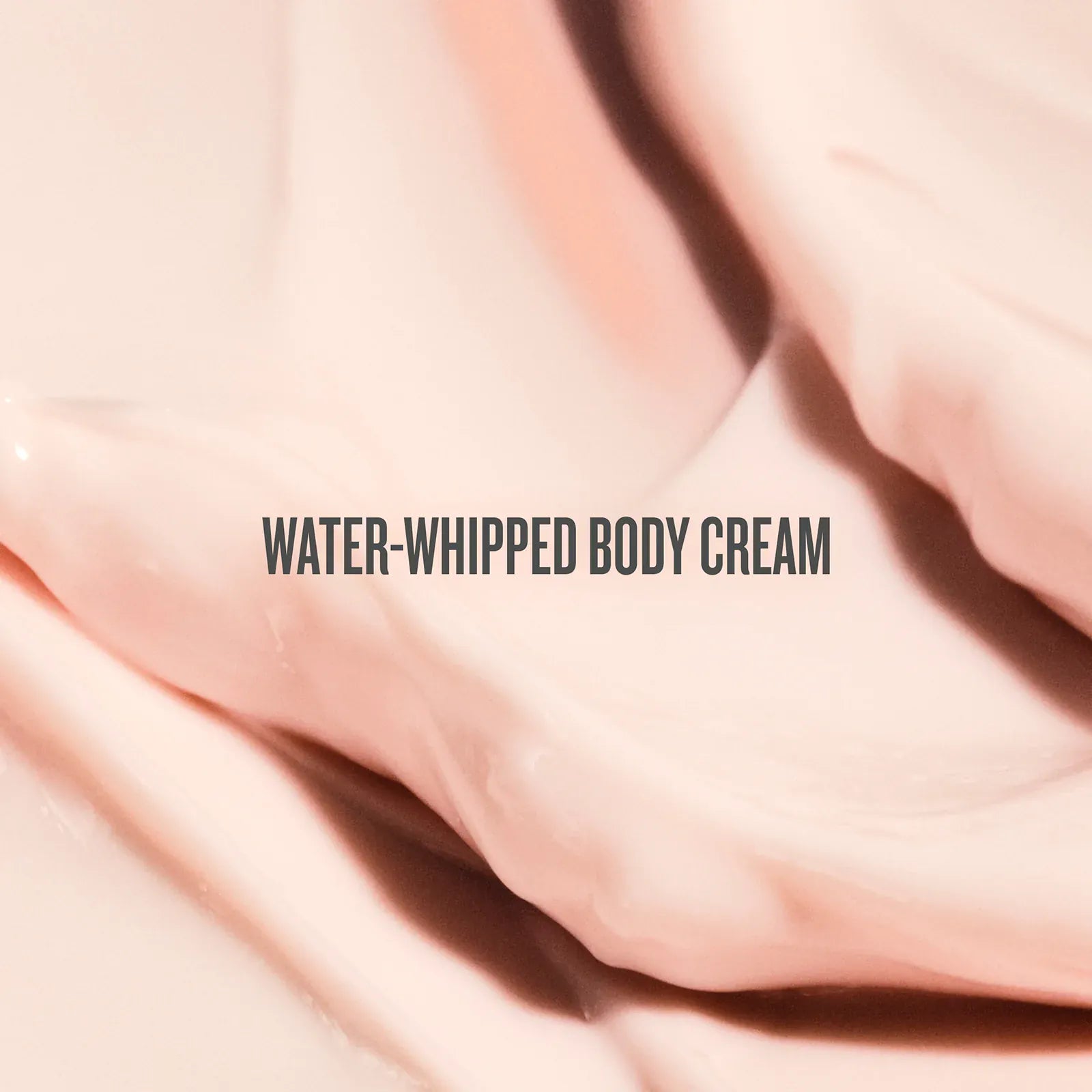 Rosa Charmosa™ Dewy Cream - Image 8