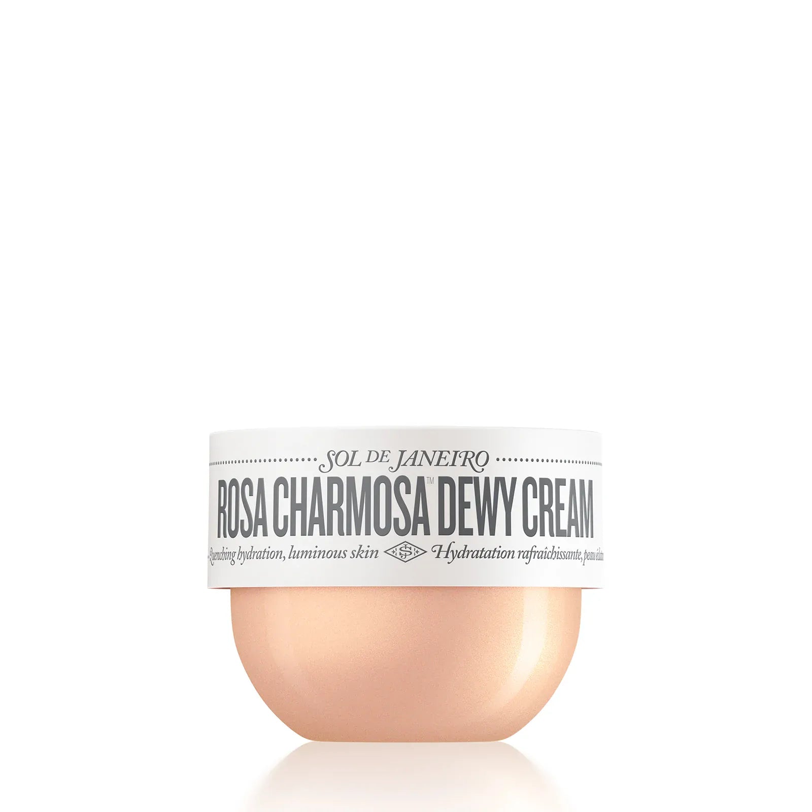 Rosa Charmosa™ Dewy Cream - Image 14